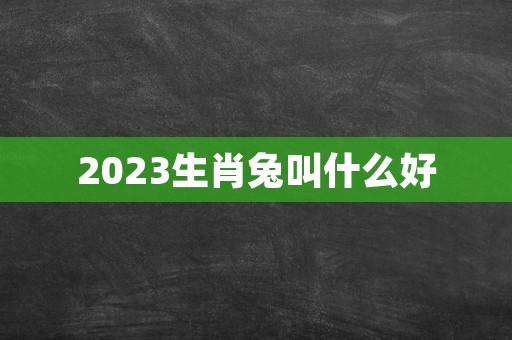 2023生肖兔叫什么好