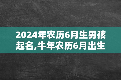 2024年农历6月生男孩起名,牛年农历6月出生的宝宝取名