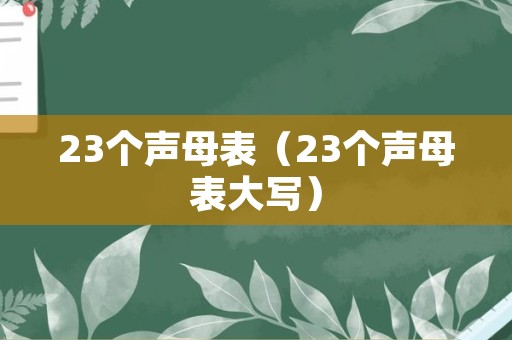 23个声母表（23个声母表大写）