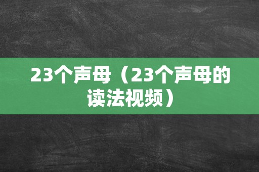 23个声母（23个声母的读法视频）