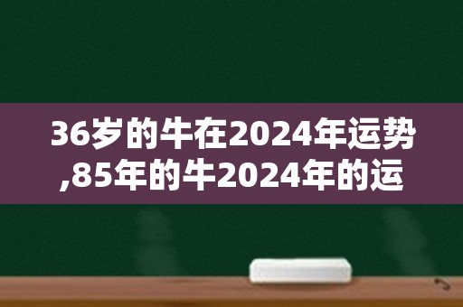 36岁的牛在2024年运势,85年的牛2024年的运势