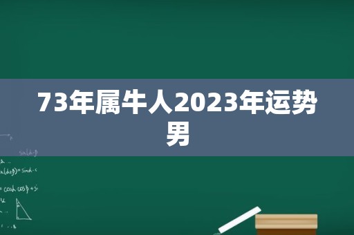 73年属牛人2023年运势男