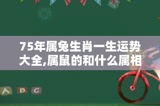 75年属兔生肖一生运势大全,属鼠的和什么属相最配