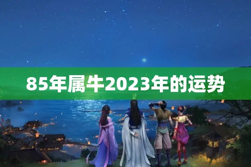 85年属牛2023年的运势