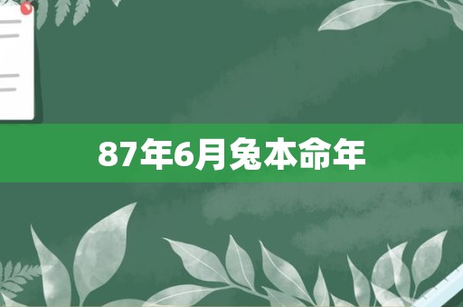 87年6月兔本命年