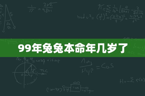 99年兔兔本命年几岁了