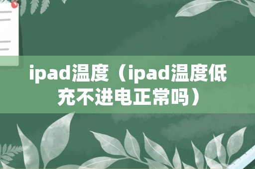 ipad温度（ipad温度低充不进电正常吗）