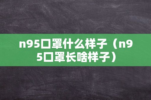 n95口罩什么样子（n95口罩长啥样子）