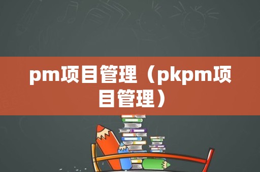 pm项目管理（pkpm项目管理）