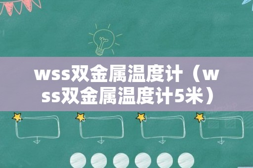 wss双金属温度计（wss双金属温度计5米）