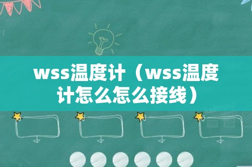 wss温度计（wss温度计怎么怎么接线）